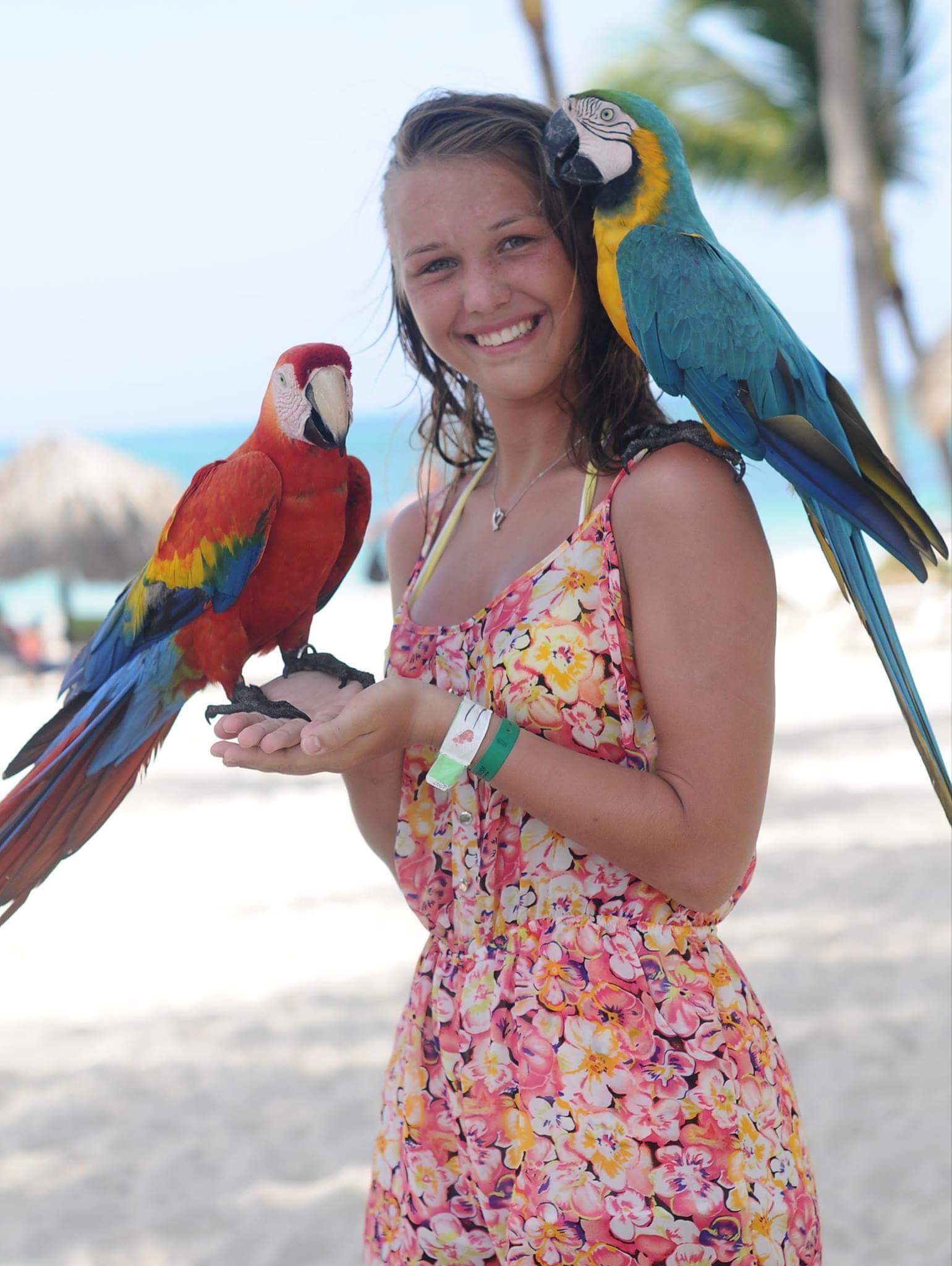 This is a picture of me with two parrots in the Dominican Republic.